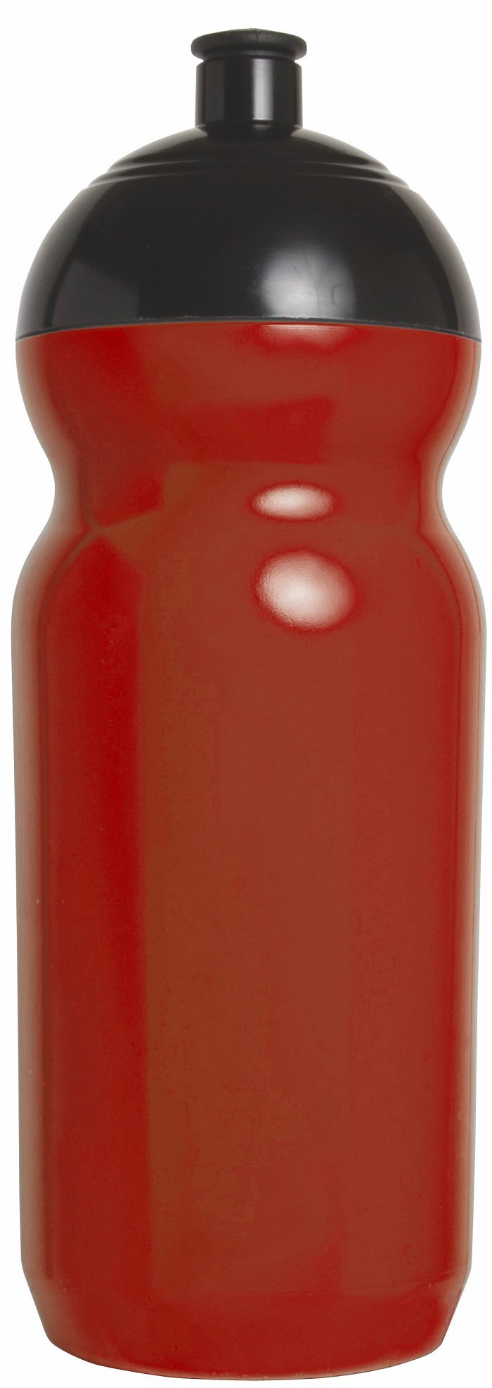 Bouteille d'eau Globe 600 600 ml